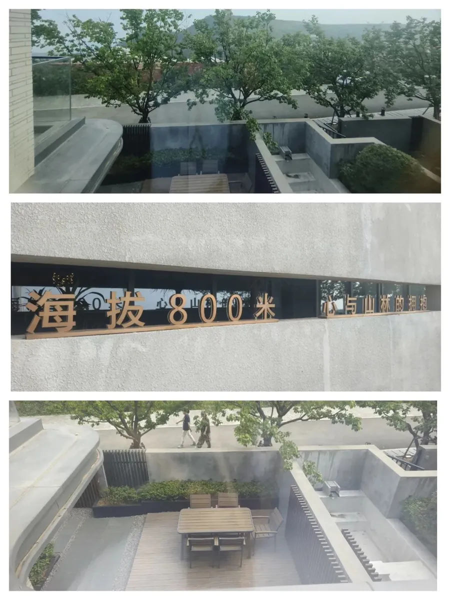 挖藕咨询年中总结会现场