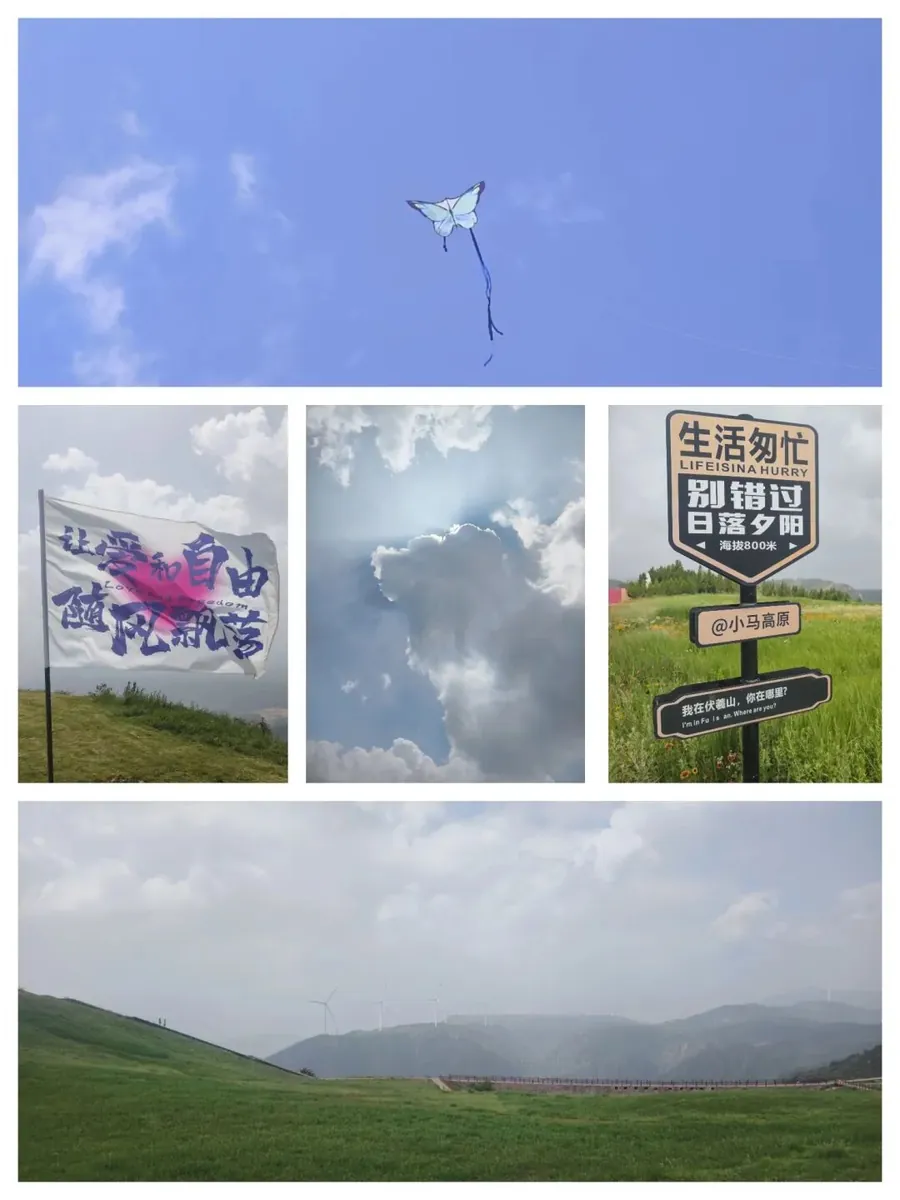 挖藕咨询年中总结会现场